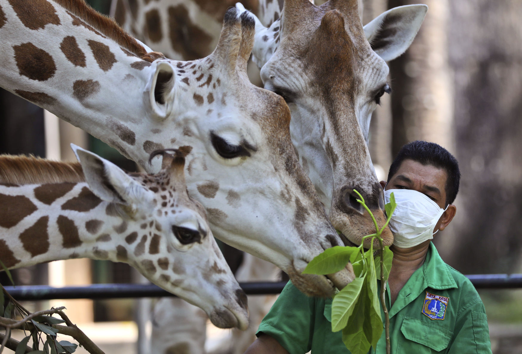 APTOPIX Virus Outbreak Indonesia